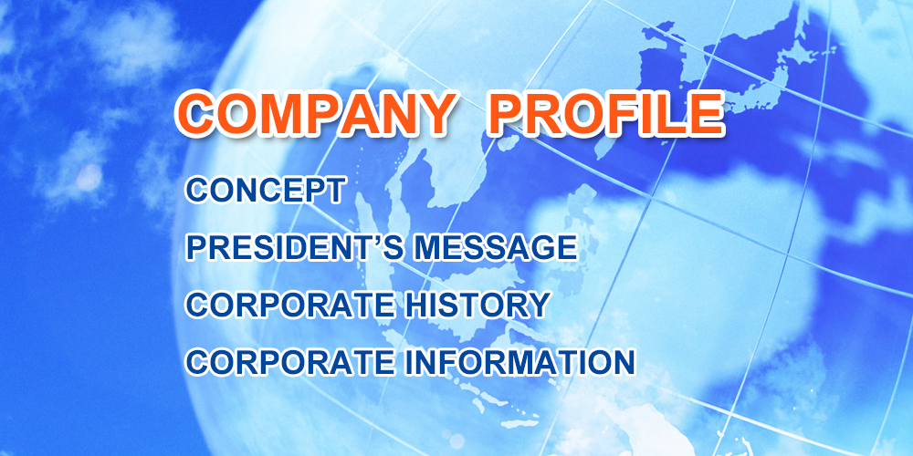 COMPANY  PROFILE